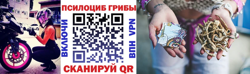 Галлюциногенные грибы ЛСД  blacksprut сайт  Малаховка 